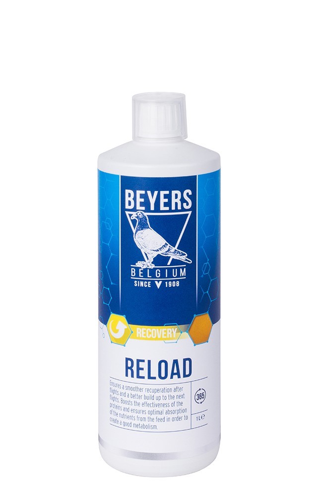 RELOAD 1L - aminoacizi + electroliti -